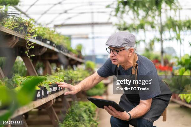 farmer examining plants using digital tablet - professional landscapers stock pictures, royalty-free photos & images