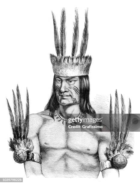 native american from tribe tikúna at amazon region in brazil - brazilian headdress stock illustrations
