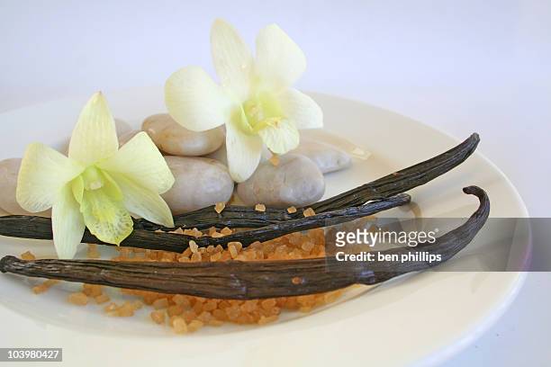 scent of vanilla - pod stock pictures, royalty-free photos & images