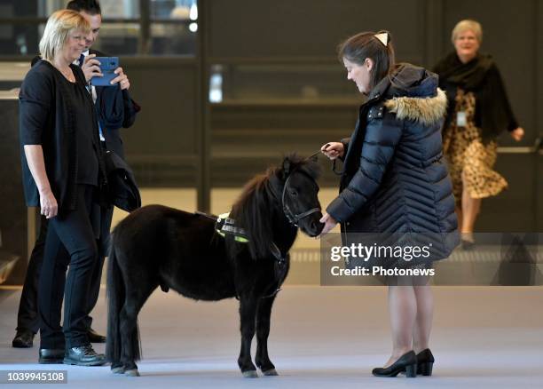 Brussels, Belgium SEPTEMBER 25 2018 - Persmoment met Europees parlementslid Hilde Vautmans n.a.v. Het bezoek van Dinky, het eerste Europese...