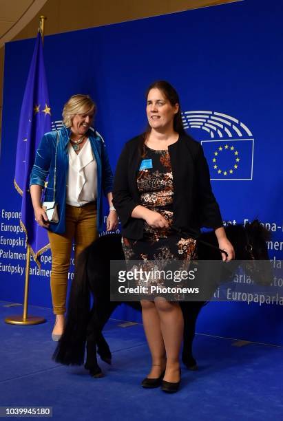 Brussels, Belgium SEPTEMBER 25 2018 - Persmoment met Europees parlementslid Hilde Vautmans n.a.v. Het bezoek van Dinky, het eerste Europese...