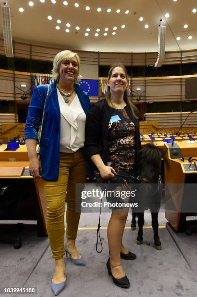 Brussels, Belgium SEPTEMBER 25 2018 - Persmoment met Europees parlementslid Hilde Vautmans n.a.v. Het bezoek van Dinky, het eerste Europese...