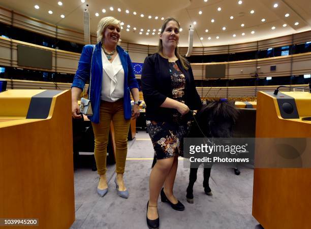Brussels, Belgium SEPTEMBER 25 2018 - Persmoment met Europees parlementslid Hilde Vautmans n.a.v. Het bezoek van Dinky, het eerste Europese...