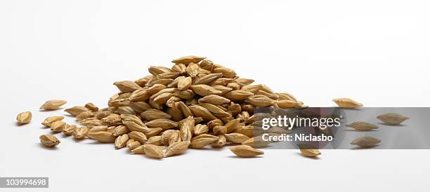 pile of barley - barley stockfoto's en -beelden