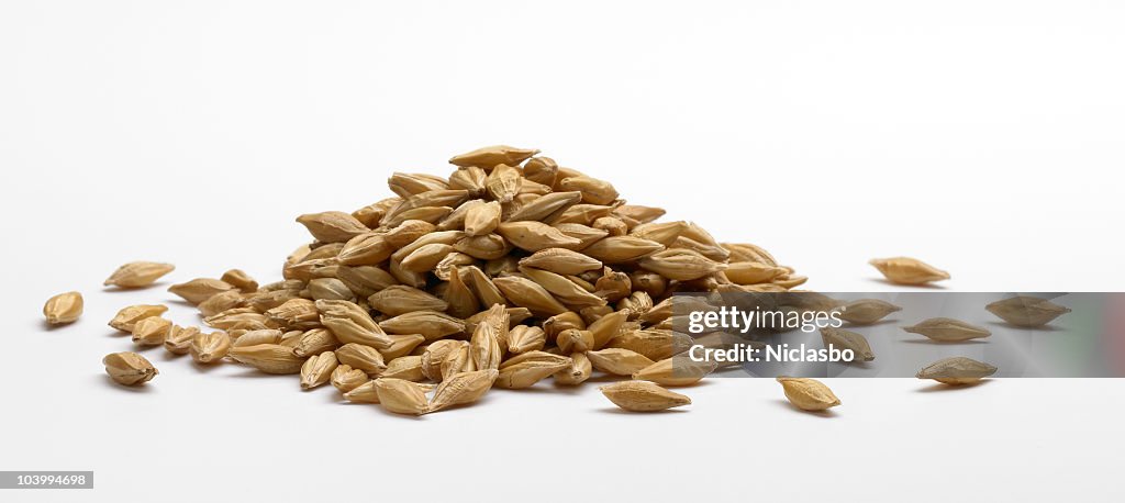 Pile of barley