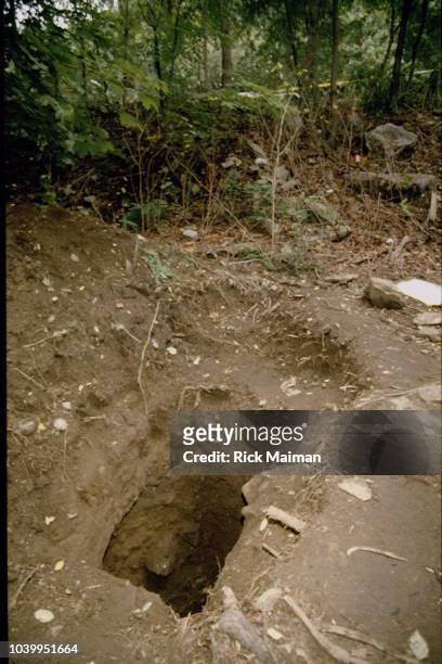 Harvey J. Weinstein, CEO of Lord West Formal Wear, a tuxedo manufacturing has been kidnapped, buried alive 12 days in this pit near the Hudson River...
