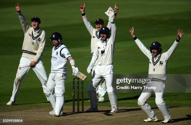 The Kent slip corden unsuccessfully appeal for the wicket of Tim Ambrose of Warwickshire during Day Two of the Specsavers County Championship...