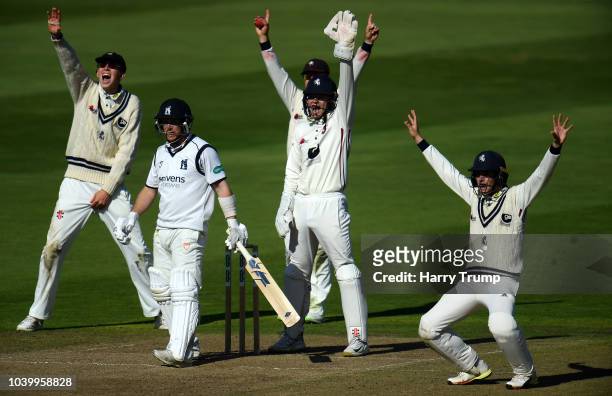 The Kent slip corden unsuccessfully appeal for the wicket of Tim Ambrose of Warwickshire during Day Two of the Specsavers County Championship...