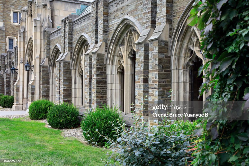 War Memorial and Lyon and McFaddin Halls