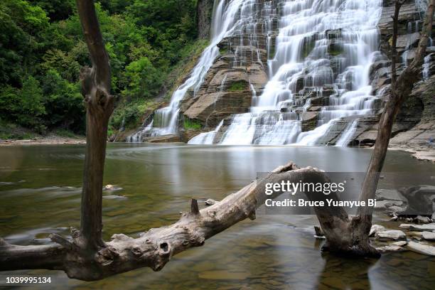 ithaca falls - ithaca stock pictures, royalty-free photos & images