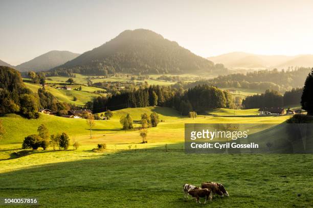 sunrise in the berchtesgadener land - alpen bayern fotografías e imágenes de stock