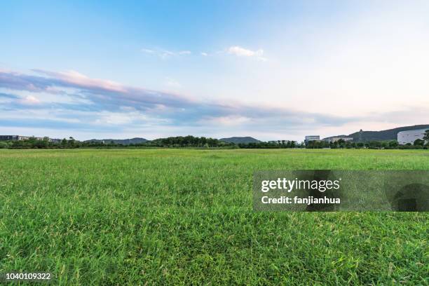 green lawn against sky - prateria zona erbosa foto e immagini stock