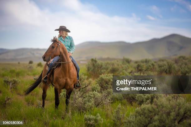 cowgirl reiten - woman horse stock-fotos und bilder