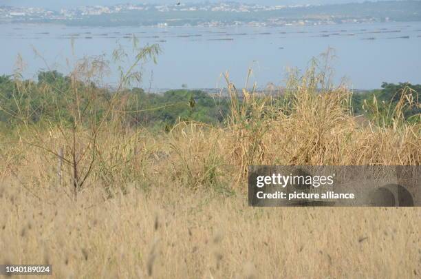 View from an illegal waste dump onto Gramacho bay in the district of Gramacho of Rio de Janeiro, Brazil, 9 July 2016. From here, contaminated water...