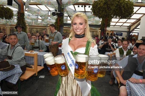 Wiesn Playmate Denise Cotte in the Hofbraeu Tent during the opening of Oktoberfest in Munich, Germany, 20 September 2014. A one-litre stein of...