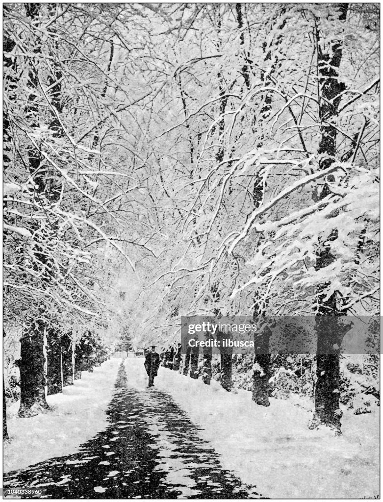 Antique photograph: Snow in Cambridge