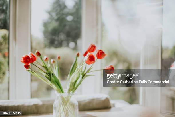 tulips in a vase - blumenstrauß tulpen stock-fotos und bilder
