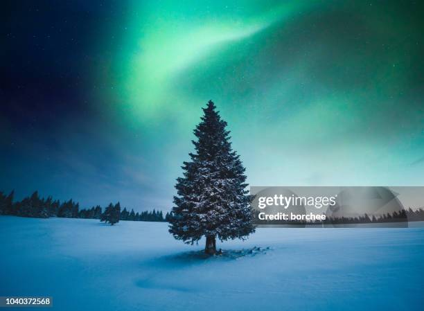 winter landscape with northern lights - aurora borealis trees stock pictures, royalty-free photos & images