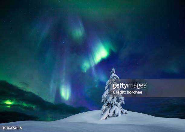 winter lights - finland stock pictures, royalty-free photos & images