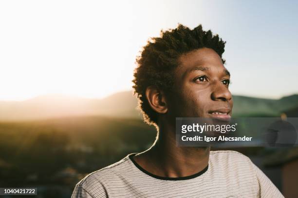 porträt einer jungen afroamerikanischen - kinky stock-fotos und bilder