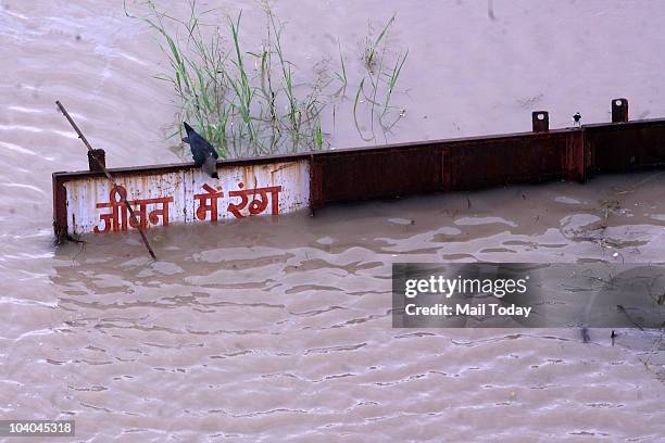 Rising waters of the Yamuna river at the Geeta Colony in New Delhi on September 11, 2010.