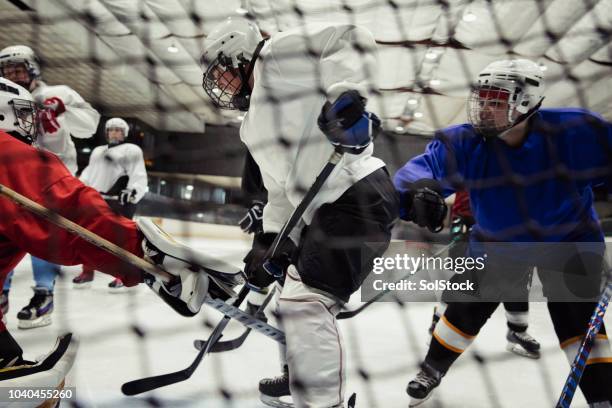 fighting for the puck - ice hockey player back turned stock pictures, royalty-free photos & images