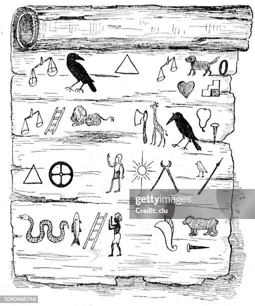 stockillustraties, clipart, cartoons en iconen met oude egyptische papyrus scroll - papyrusriet