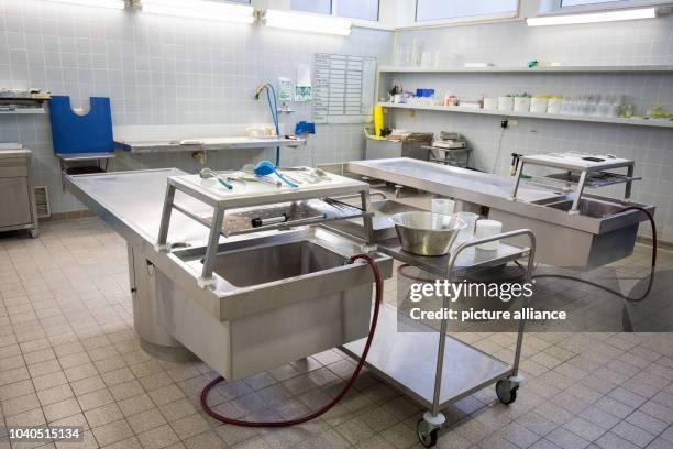 Forensic Autopsy Rotation 6,327 Autopsy Stock Photos, High-Res Pictures, and Images - Getty Images
