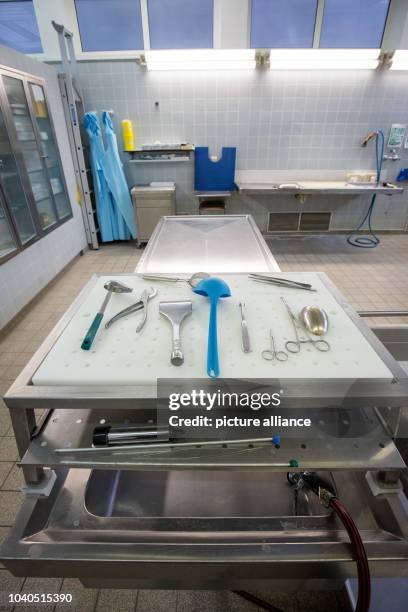 Autopsy Test 6,327 Autopsy Stock Photos, High-Res Pictures, and Images - Getty Images