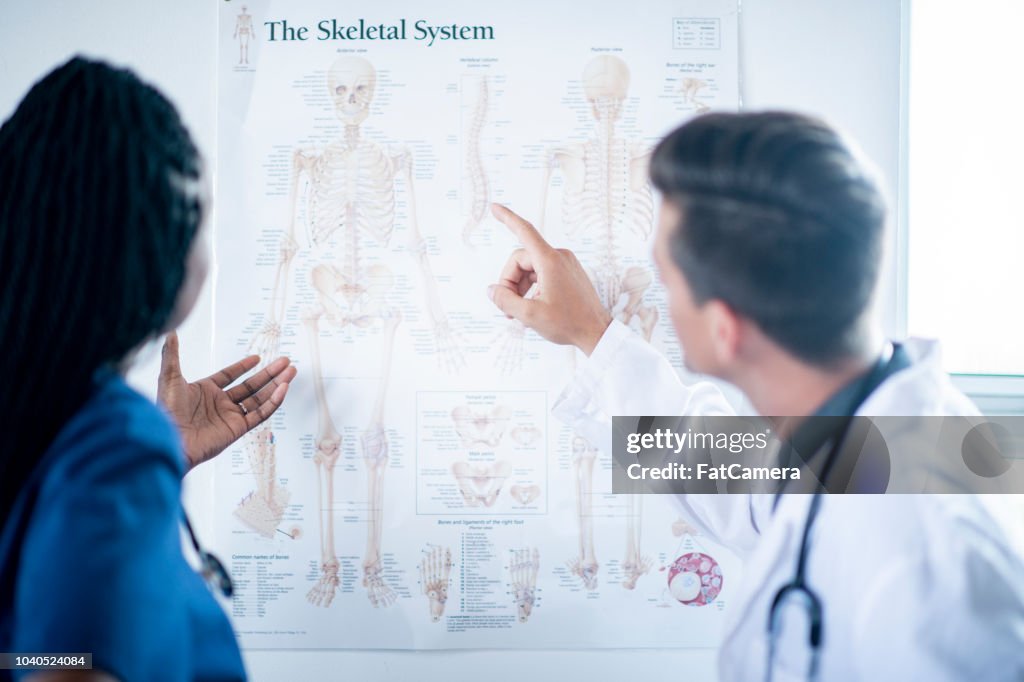 Learning Human Anatomy High Biology Diagrams