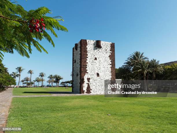 torre del conde and flowers in the foreground - gomera bildbanksfoton och bilder