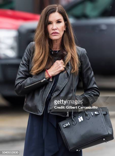 Model Janice Dickinson is seen walking outside the Montgomery County Courthouse prior to Bill Cosby's Sentencing for sexual assault conviction at the...