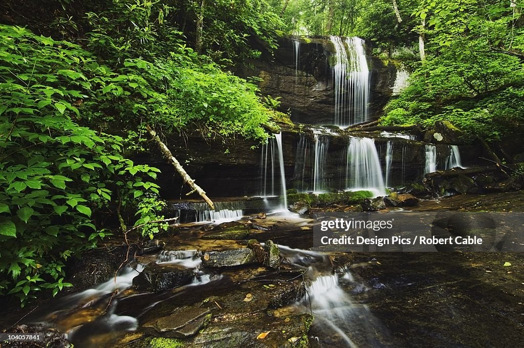 Lush Summer Foliage At Grassy Creek Falls