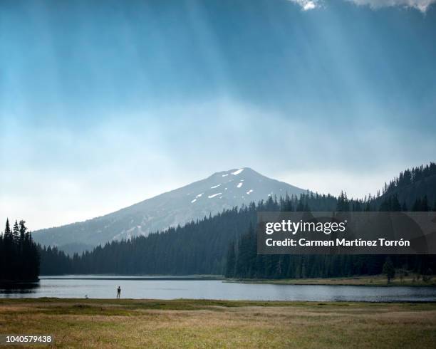 mt bachelor view from todd lake bend, oregon - mt bachelor stock pictures, royalty-free photos & images