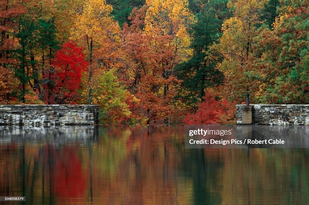 Autumn Colored Trees And Stone Dam Wall Reflected In A Lake At Hanging Rock State Park