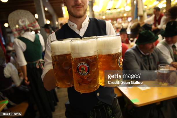 Waiter carries one liter mugs of beer in the Paulaner tent following the Oktoberfest parade of costumes of folk and crafts associations on the second...