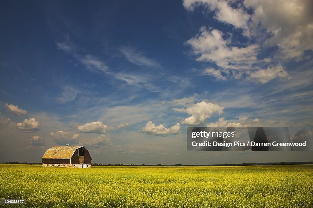 An Old Barn In A Field