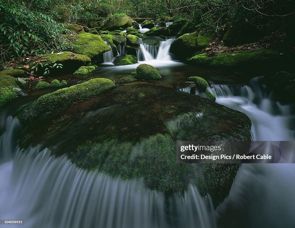 Moss And Curved Cascade In The Roaring Fork River In Great Smoky Mountains National Park