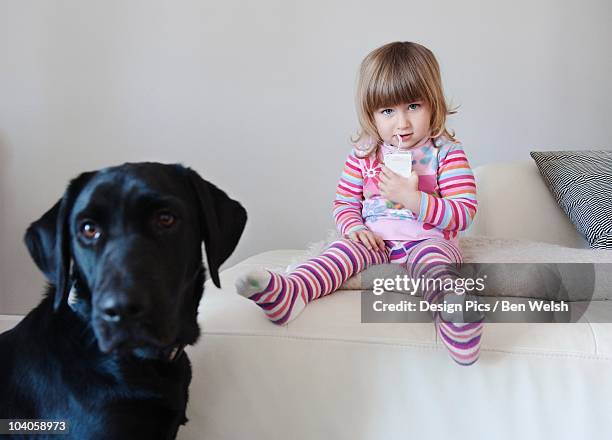a young girl enjoys a juice box while sitting beside her pet dog - juice box stock pictures, royalty-free photos & images