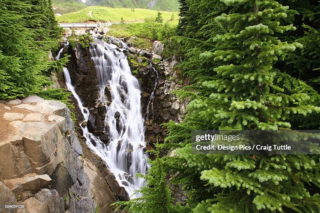 Edith Creek Falls In Mt. Rainier National Park