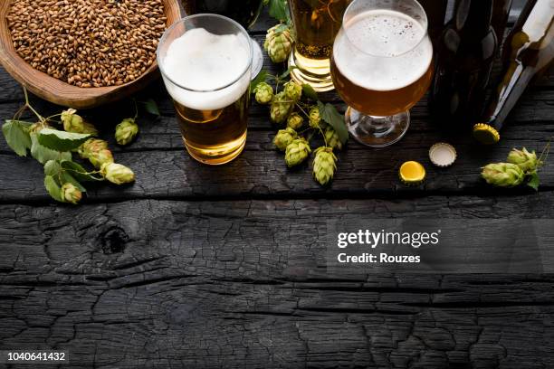 bière bouteille et verre avec ingrédients de brassage. - bière photos et images de collection