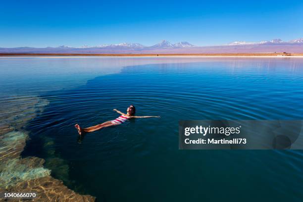 reserva de vida selvagem do deserto de atacama - lagoa salgada - vista vulcânica - oasis - - flutuante - san pedro de atacama - fotografias e filmes do acervo