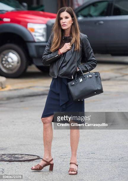 Model Janice Dickinson is seen walking outside the Montgomery County Courthouse prior to Bill Cosby's Sentencing for sexual assault conviction at the...