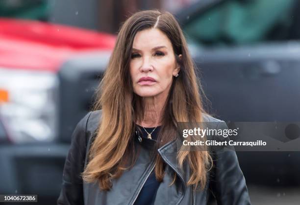 Model Janice Dickinson is seen walking outside the Montgomery County Courthouse prior to Bill Cosby's Sentencing for sexual assault conviction at the...