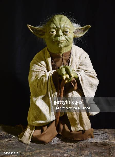 The wax figure of Star Wars hero Yoda for the London Madame Tussauds in the wax museum in Berlin, Germany, 02 February 2015. Starting in May 2015 key...