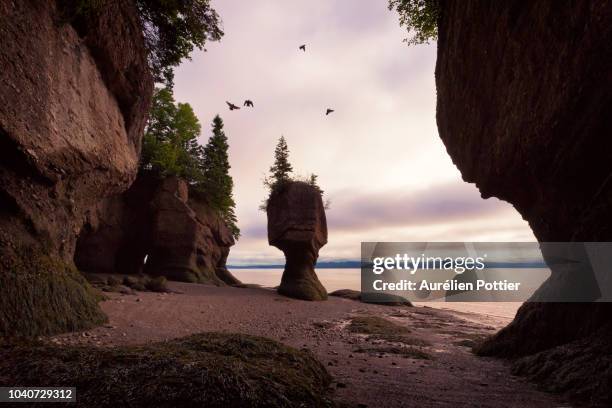 hopewell rocks, four pigeons - bay of fundy stockfoto's en -beelden