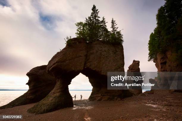 hopewell rocks, lovers arch - bay of fundy stockfoto's en -beelden