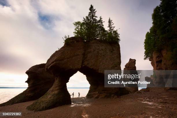hopewell rocks, lovers arch - new brunswick canada stock pictures, royalty-free photos & images