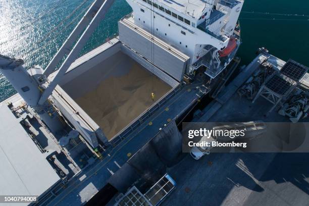 Mutisur 54 Port Of Progreso Stock Photos, High-Res Pictures, and Images - Getty ...