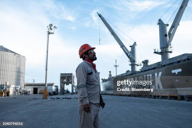 Mutisur 54 Port Of Progreso Stock Photos, High-Res Pictures, and Images - Getty ...